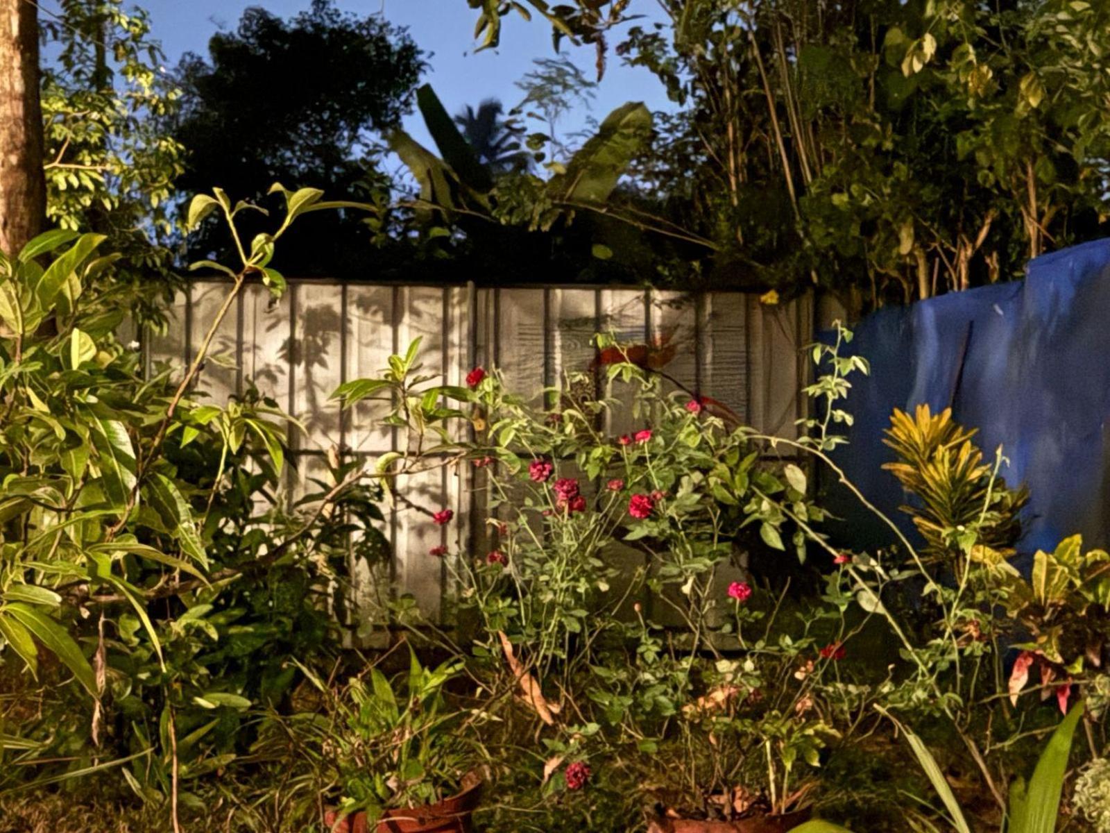 Marari Adonis Beach Villa Mararikulam Exterior foto
